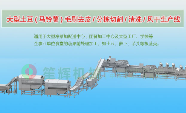 张店连续式土豆去皮清洗切割风干生产线